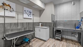 Alton jefferson park luxury apartments in denver, colorado pet spa